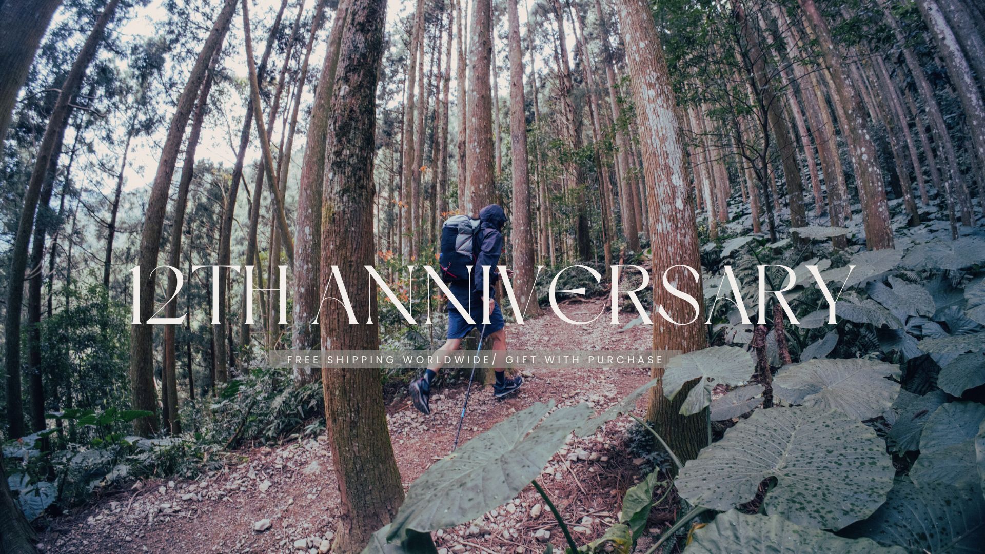 11th anniversary  1 