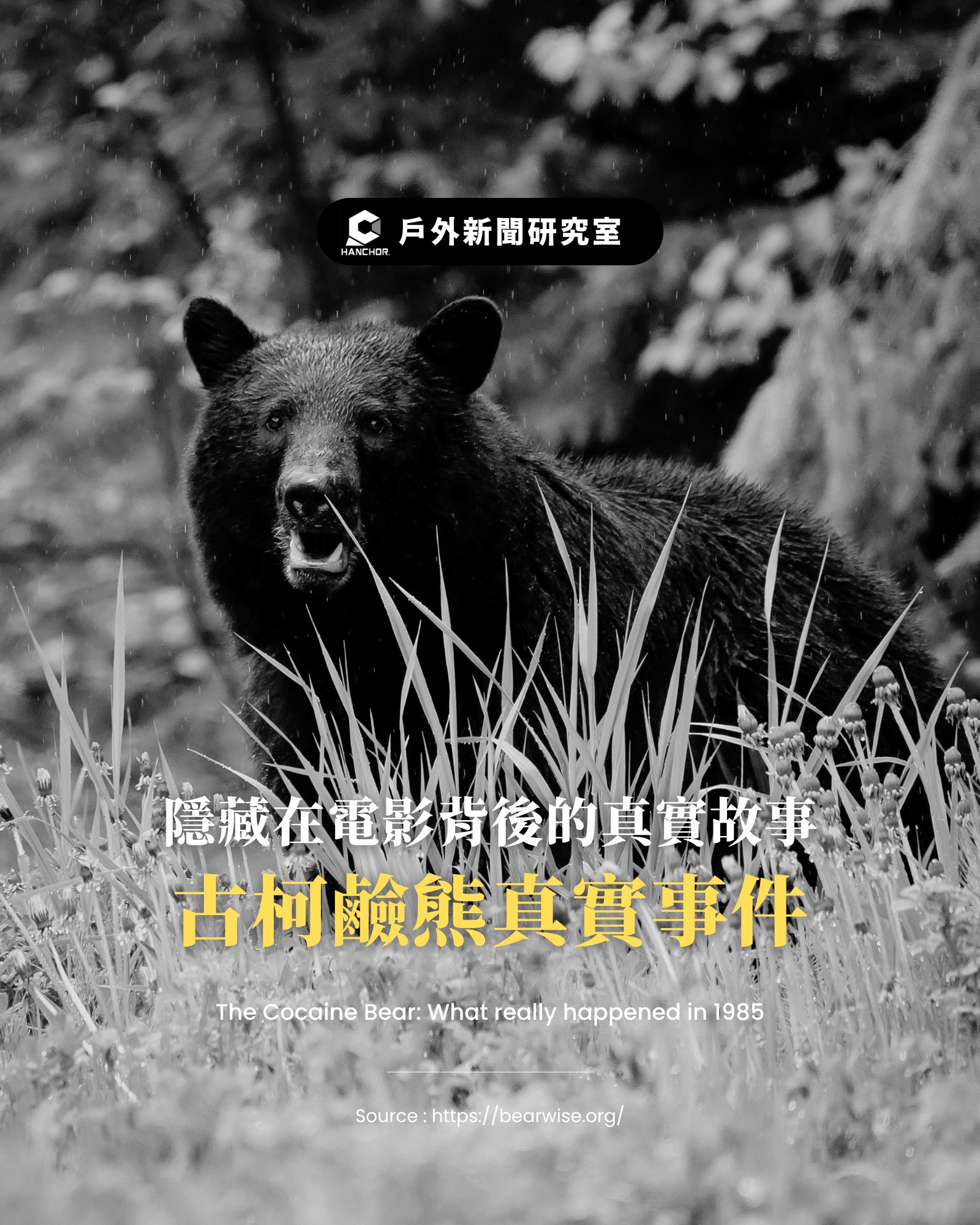 659688217 1375767987918577 3116161217453674543 n