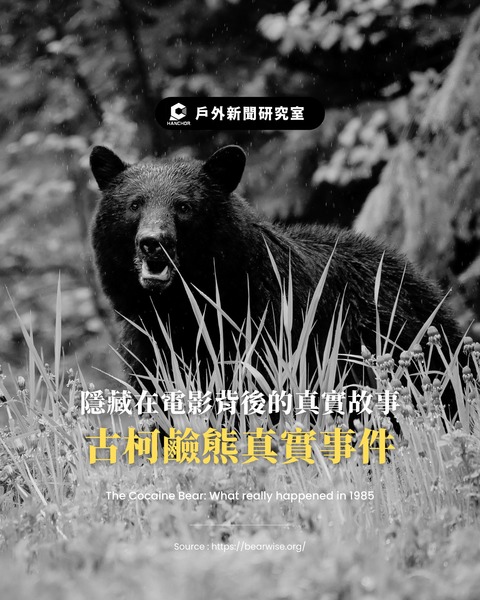 Thumb 659688217 1375767987918577 3116161217453674543 n